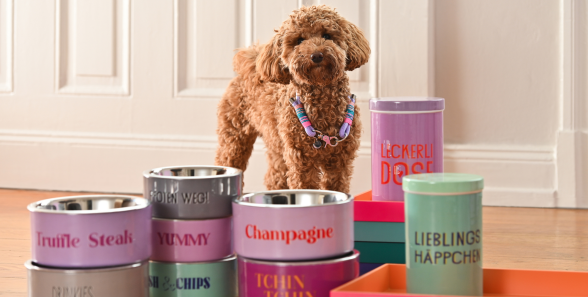 Hundeaccessoires