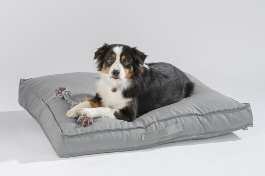 H.O.C.K. Hundekissen Freddy Gr. M 100x75x12cm hell-grau gris plomo