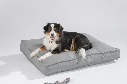 H.O.C.K. Hundekissen Freddy Gr. M 100x75x12cm hell-grau gris plomo